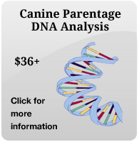 Canine Parentage DNA